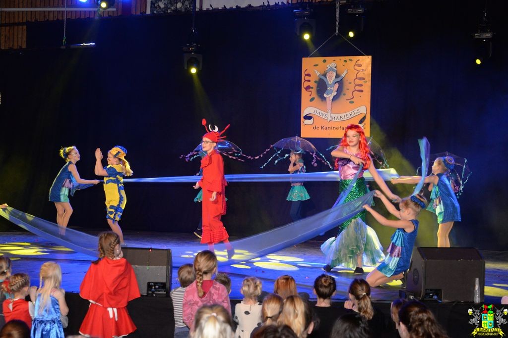 ../Images/Dansmarieke festival 2018 253.jpg